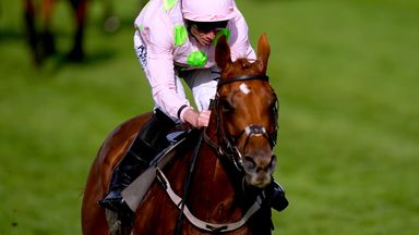 Vauban won the Copper Horse Handicap at Royal Ascot during the summer